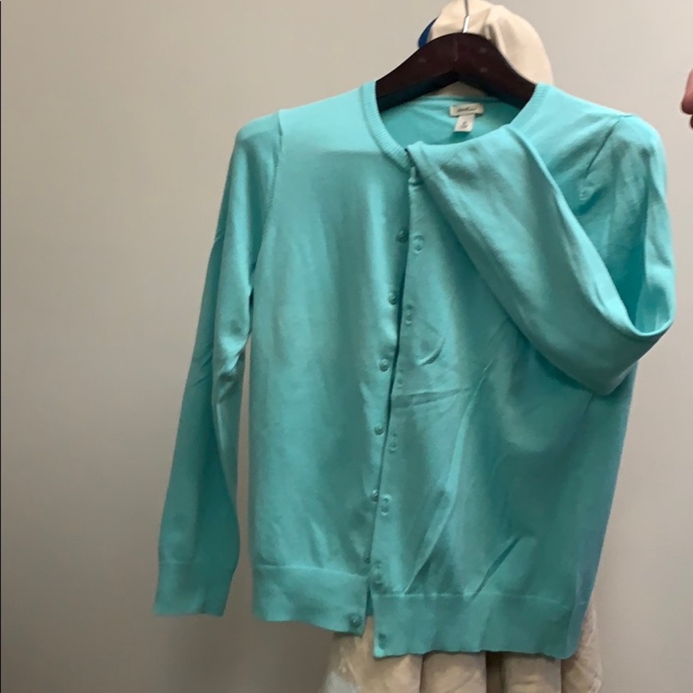 LL Bean Cardigan (mint green)